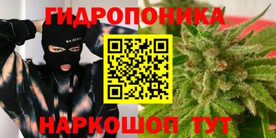 скорость Бийск