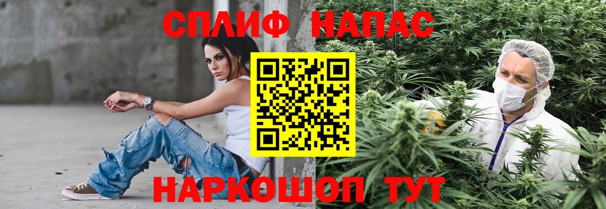Канабис план Кисловодск